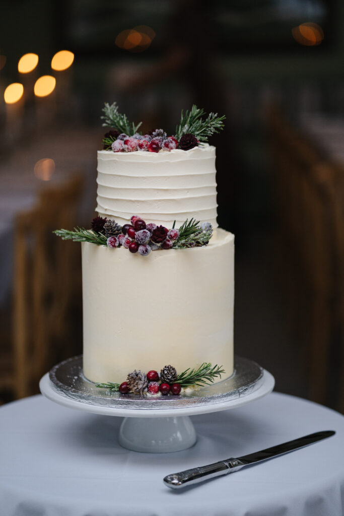 Elcott Park wedding photography with couple standing outside manor