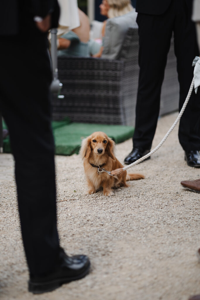 Evening reception photos at Manor by the Lake
