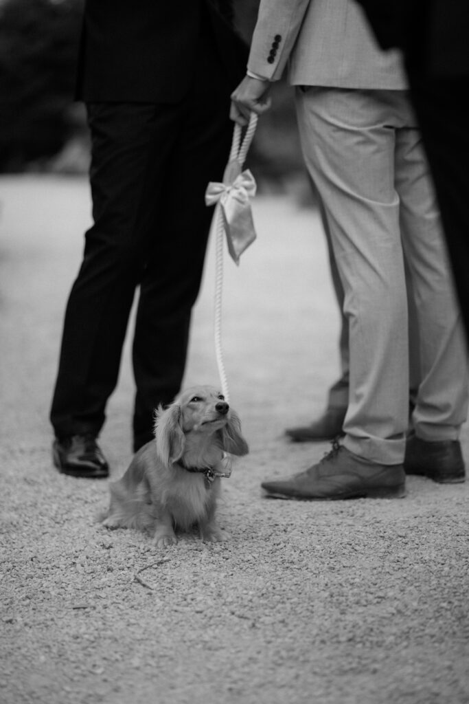 Evening reception photos at Manor by the Lake