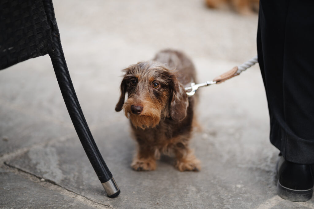 Evening reception photos at Manor by the Lake