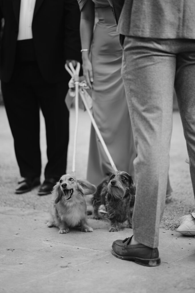 Evening reception photos at Manor by the Lake