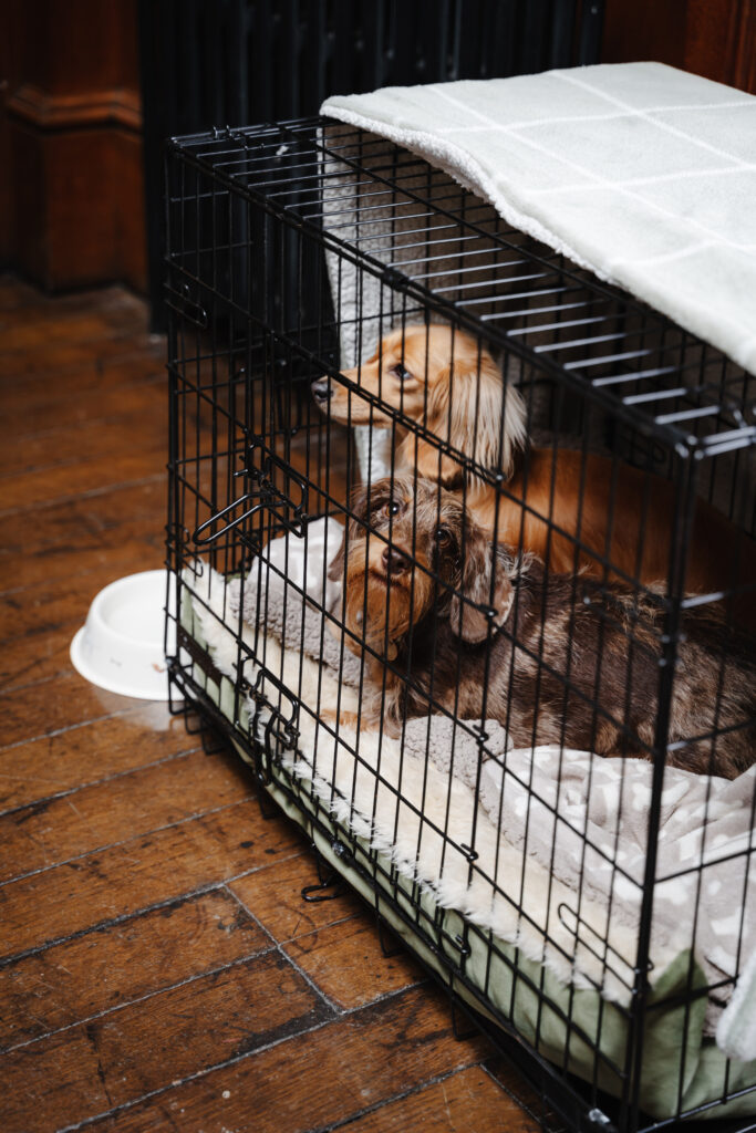 Wedding Prep at Manor by the Lake