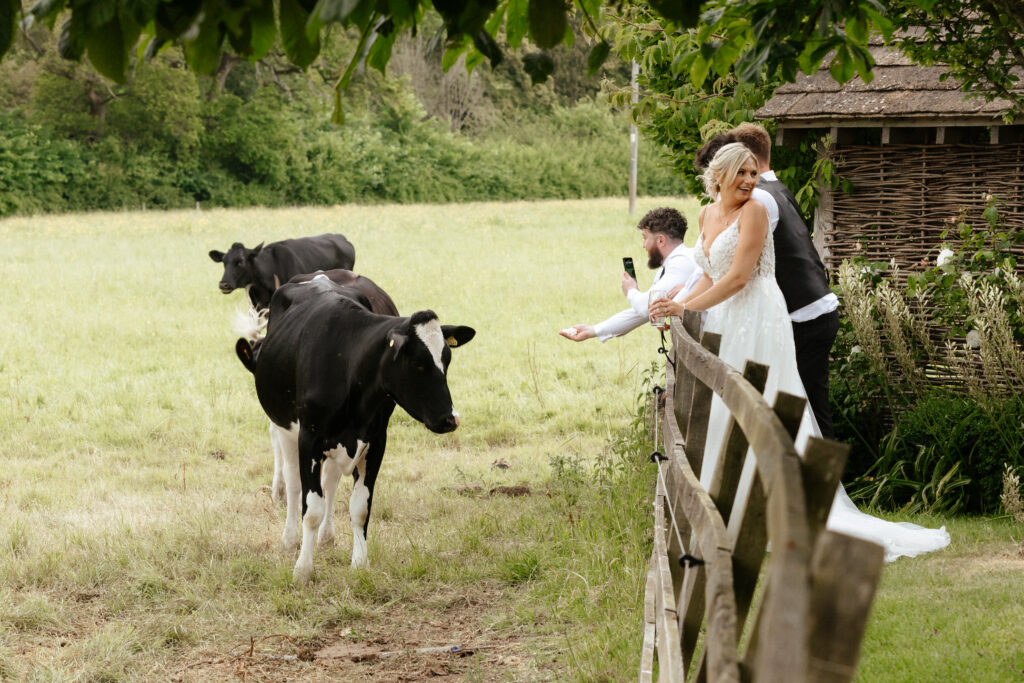 Wedding reception space at hyde house by Cotswolds wedding photographer