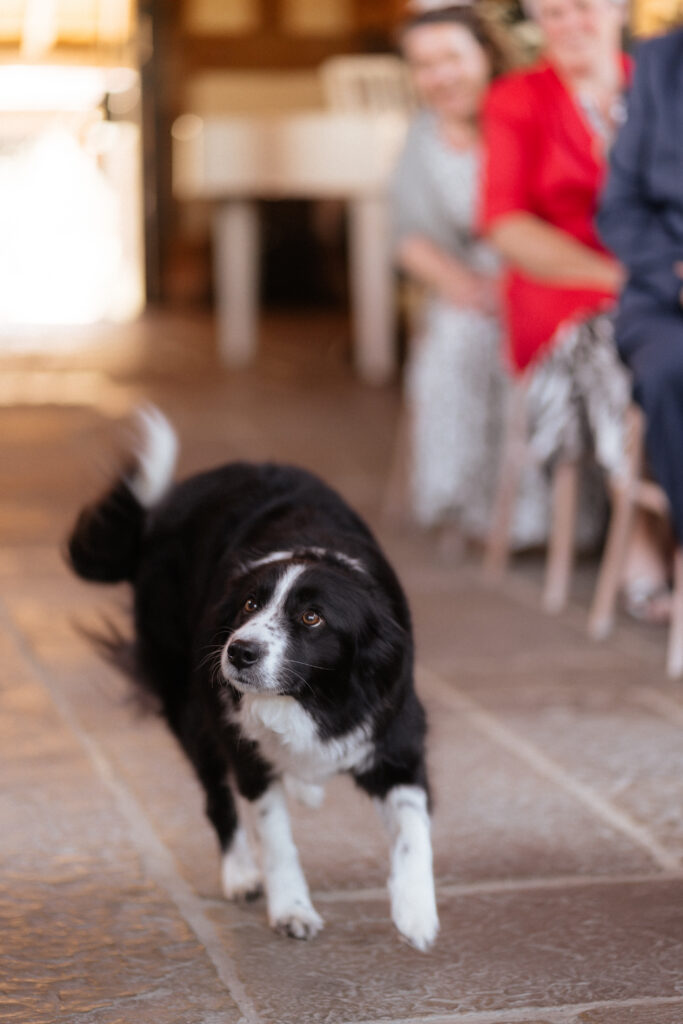 Ceremony in Threshing Barn at Barns & Yard wedding