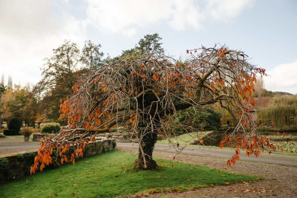 bridal prep at brinsop court for autumn wedding by hereford wedding photographer